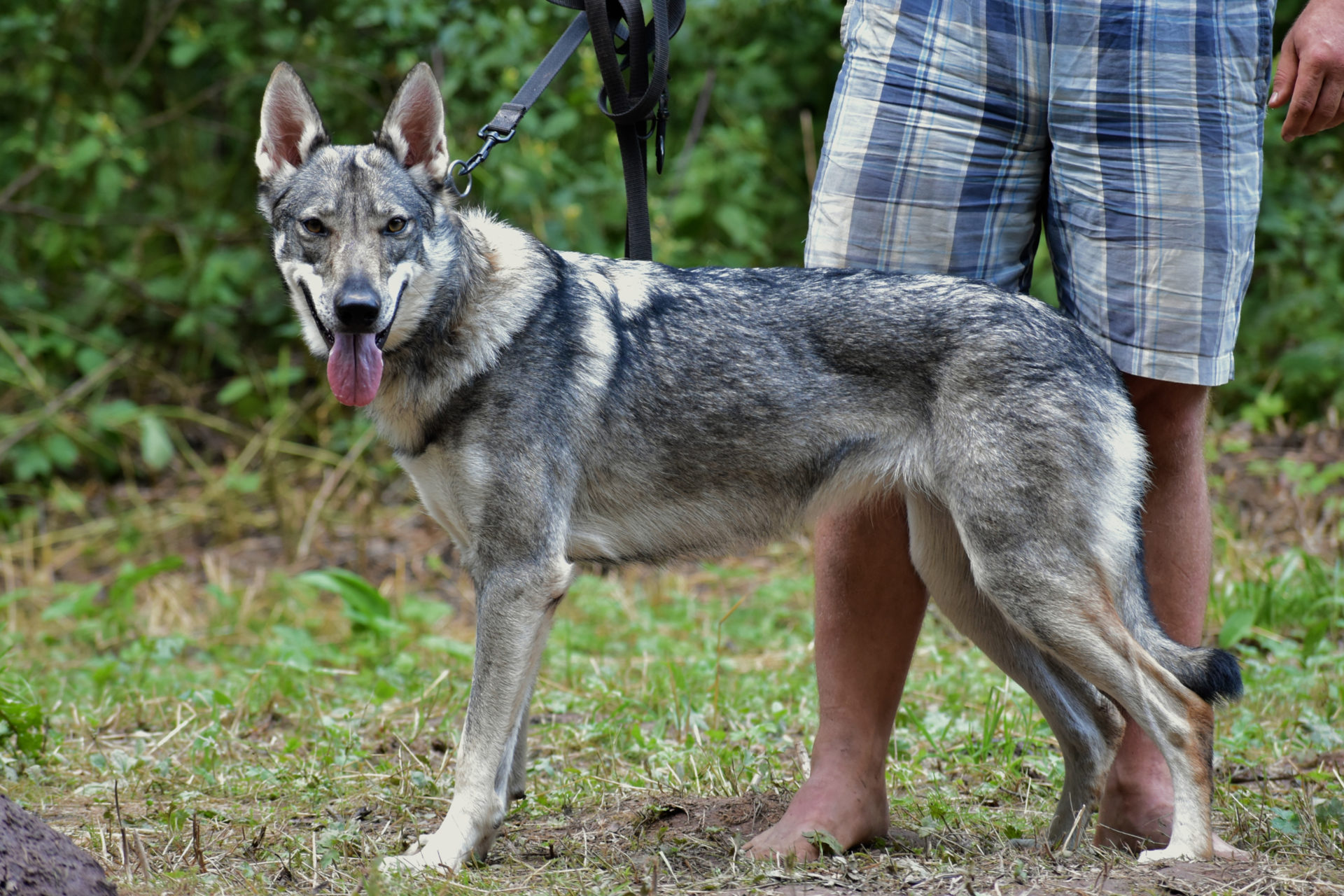 DSC_0791 DSC_0791